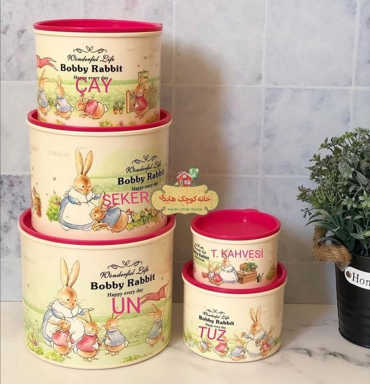 ظرف نگهدارنده پنج تیکه ربیب(Rabbit)